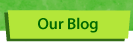 Our Blog