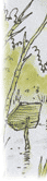 illustration from The North Star