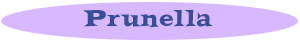 Prunella