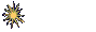 Children
