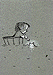 Pete Card 21